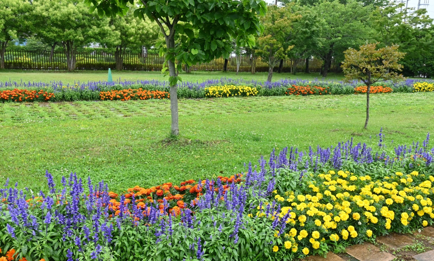 5 Garden styles for Irish homes