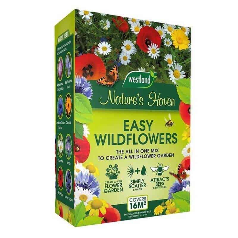 Westland Natures Easy Wildflowers Seeds 4kg