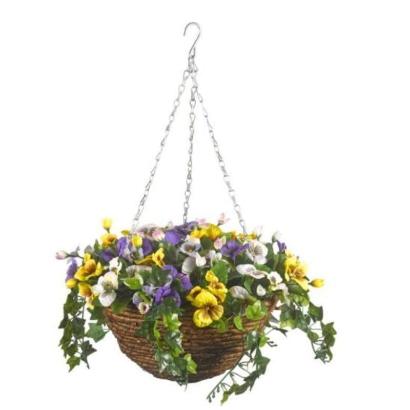 Pansy Hanging Basket (5040054)