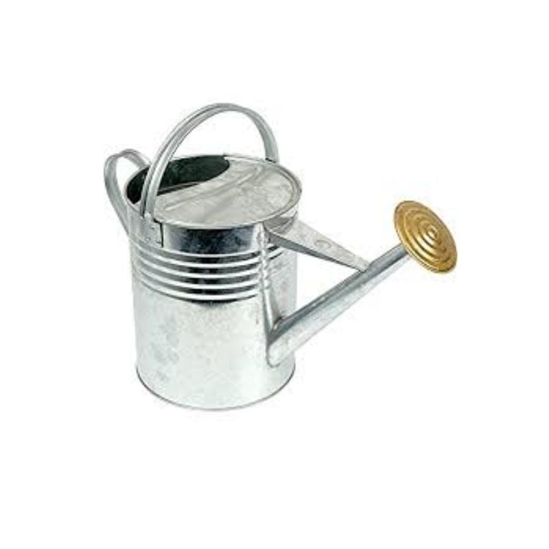 9 Litre Galvanised Watering Can including Rose