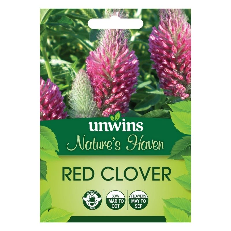 Red Clover Flower Seeds Natures Haven