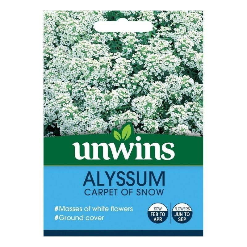 Alyssum Carpet Of Snow Seeds