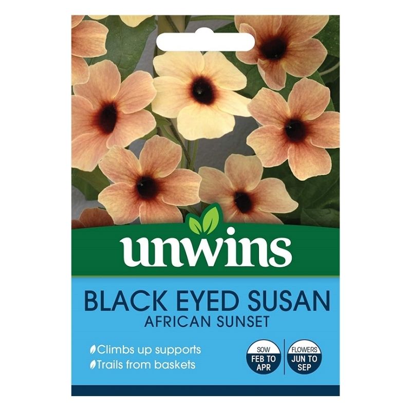 Black Eyed Susan African Sunset Seeds