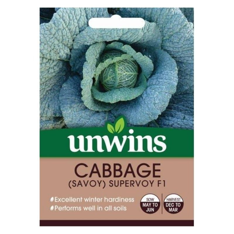 Cabbage (Savoy) Supervoy F1 Seeds