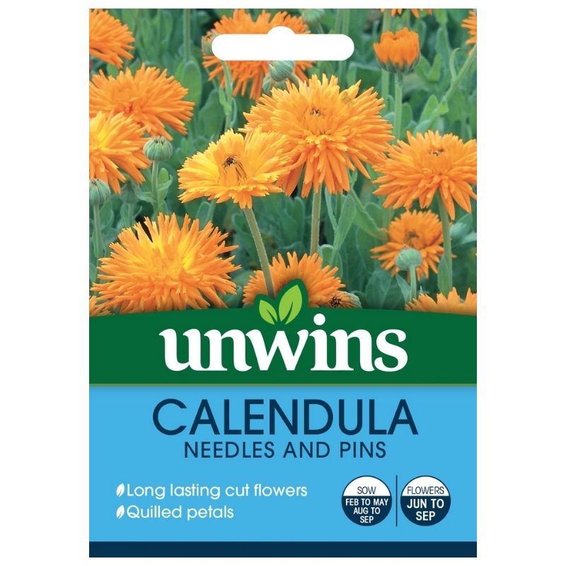Calendula Needles And Pins Seeds