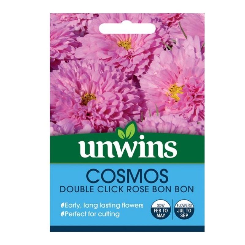 Cosmos Double Click Rose Bon Bon Seeds