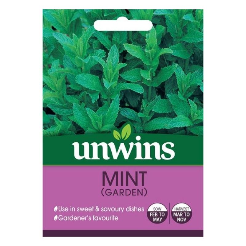 Herb Mint (Garden) Seeds