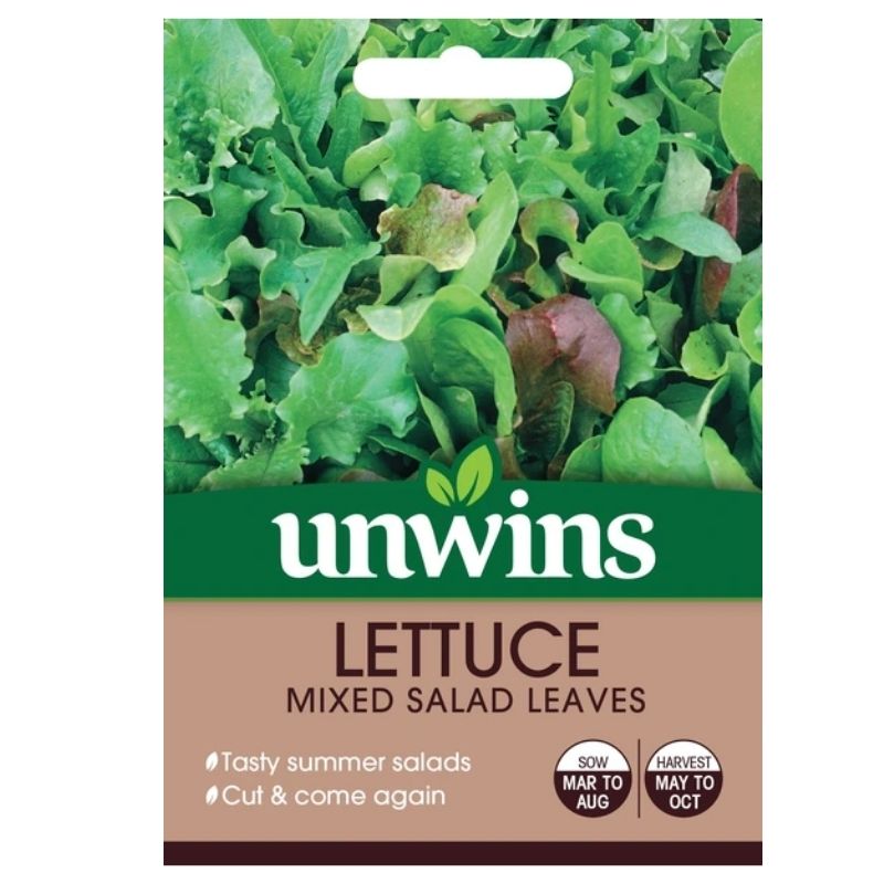 Lettuce Allsorts Seeds