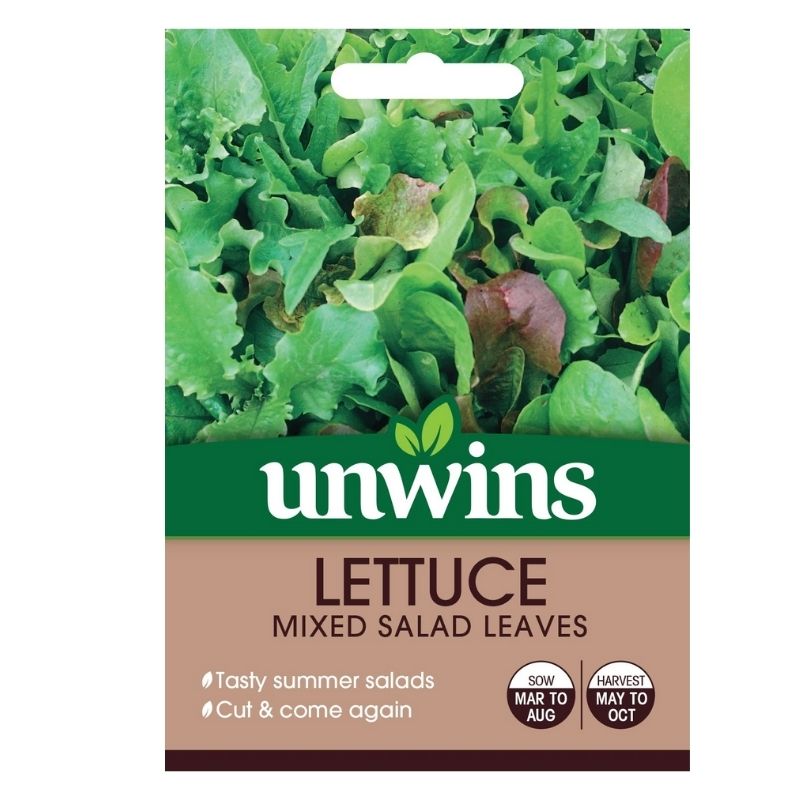 Lettuce (leaves) Mixed Salad Leaves Seeds