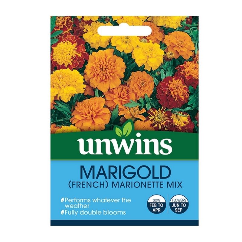 Marigold French Marionette Mix Seeds