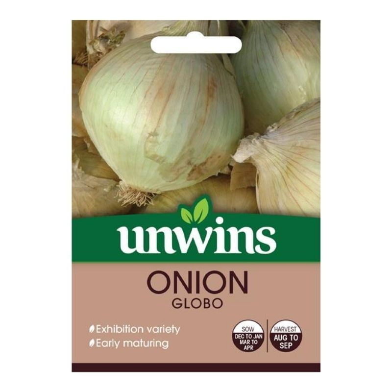 Onion Globo Seeds