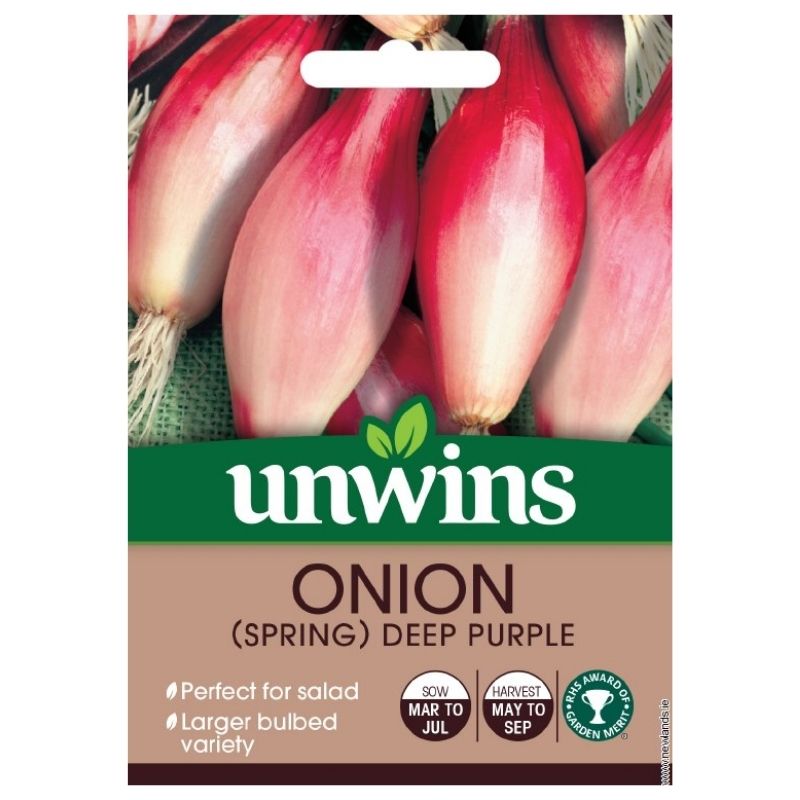 Onion Spring Deep Purple Seeds