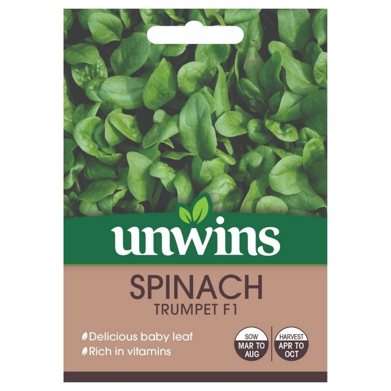 Spinach Trumpet Seeds
