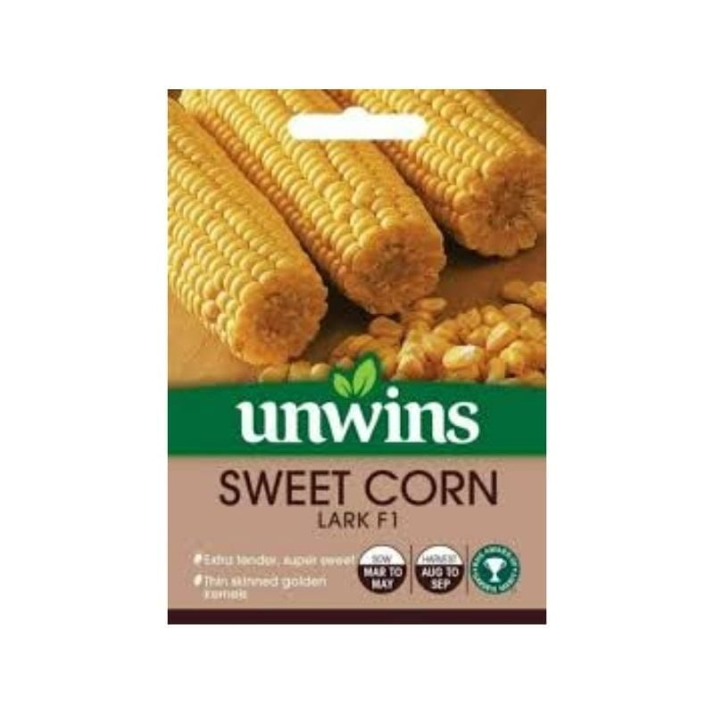 Sweet Corn Lark F1 Seeds