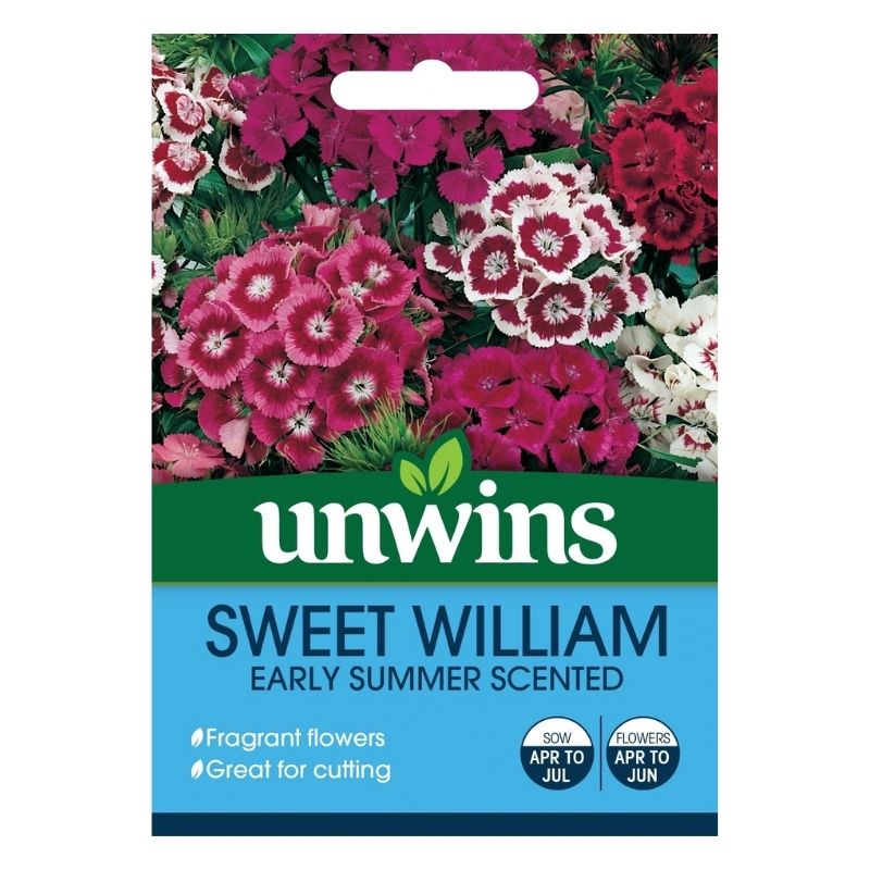 Sweet William Early Summer Scented Seeds
