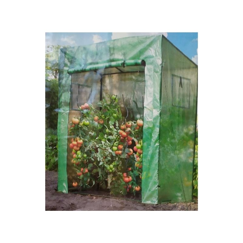 Tomato Green House
