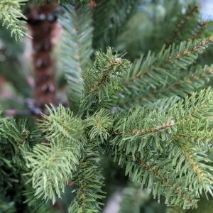 Kingston Pine 7 foot Artificial Christmas Tree branches