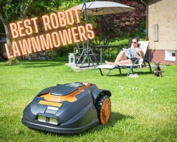 Best Robot Lawnmowers