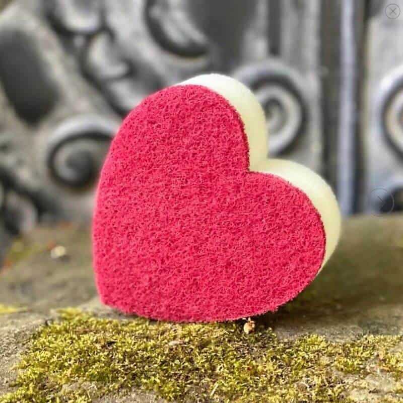 Frenchic Heart Sponge