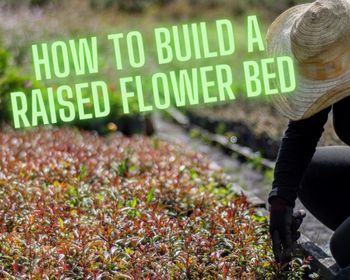 How To Build A Raised Flower Bed Tn 2