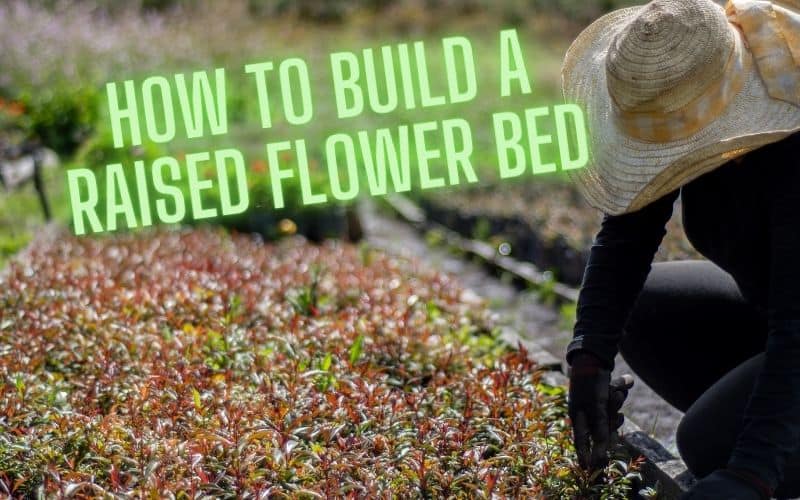 how to build a raised flower bed