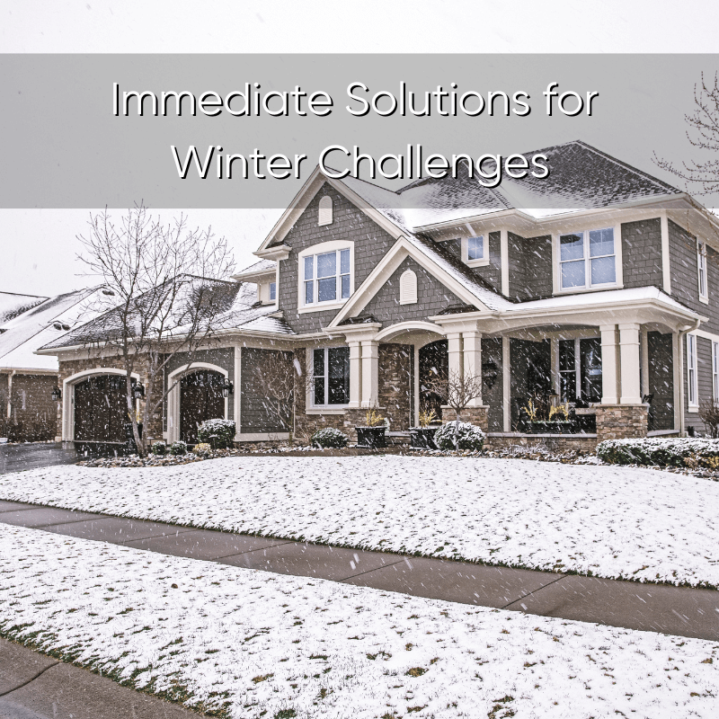 Immediate Solutions For Winter Challenges