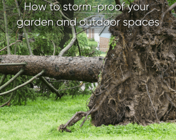 Storm-proof Garden