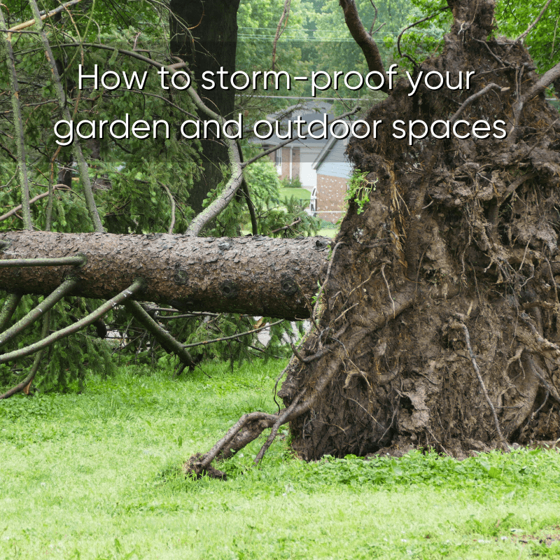 Storm-proof Garden