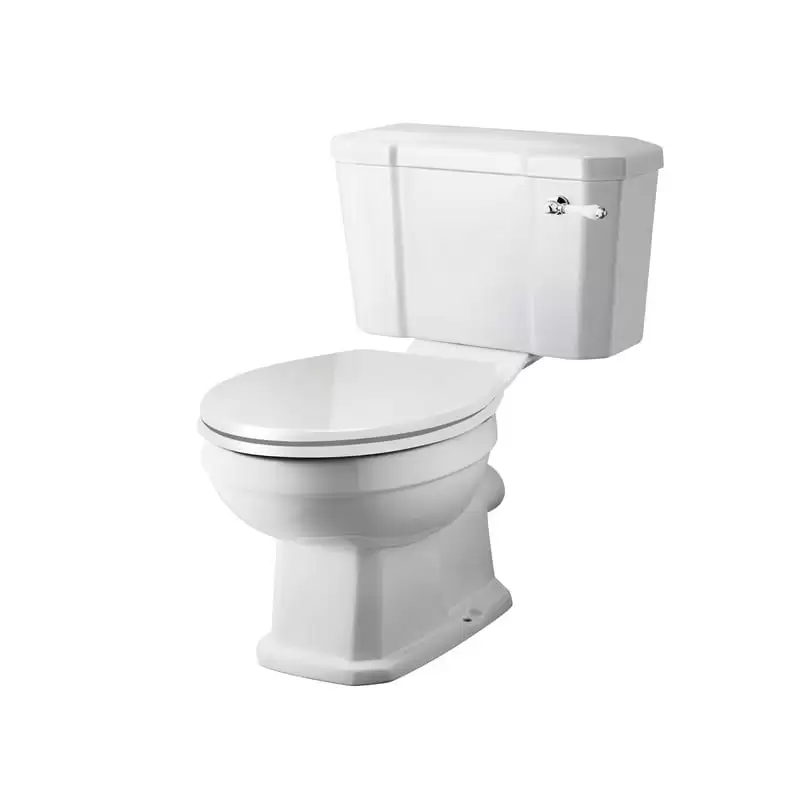 Close Coupled Toilet as part of the Cashel Suite