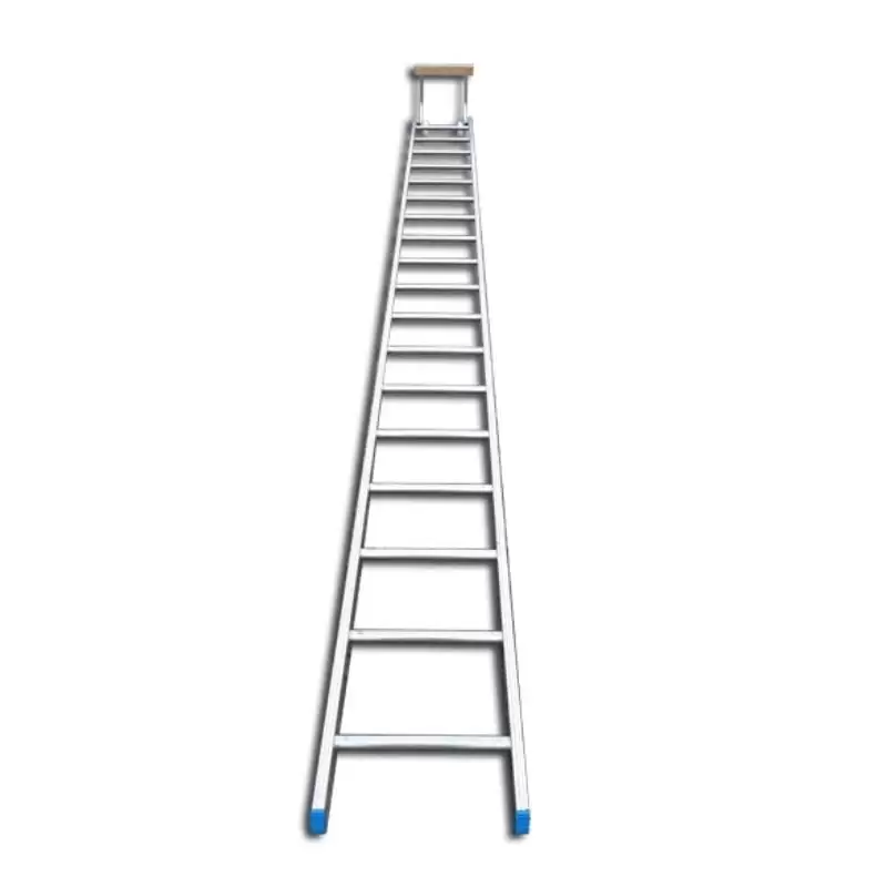 Roof Ladder