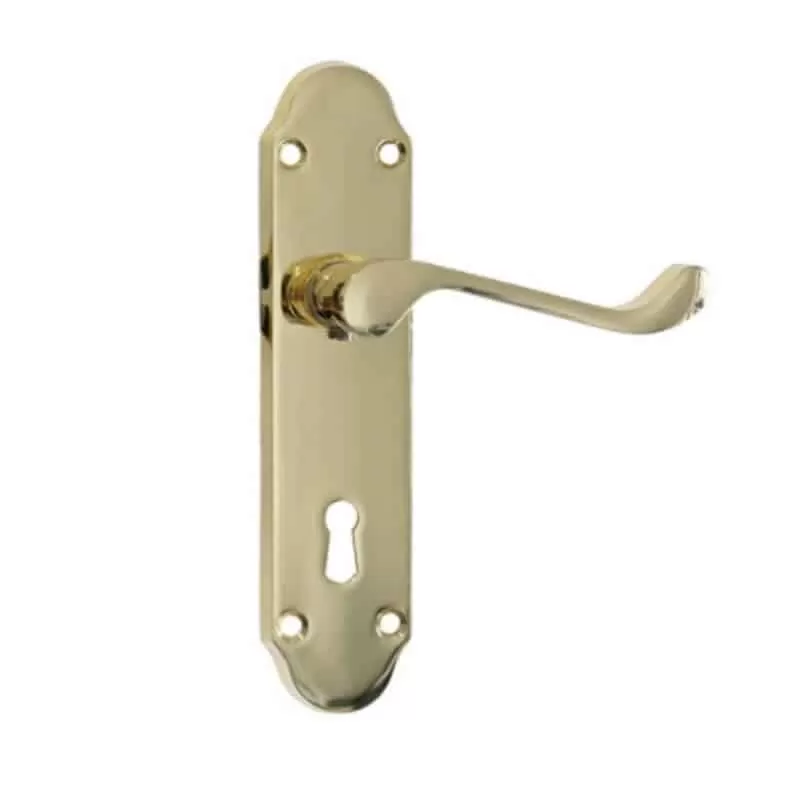 Fortessa Vista Polished Brass Door Handles Box Set